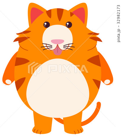 Fat Cat On White Backgroundのイラスト素材