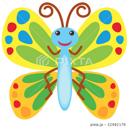 Butterfly with colorful wings 32982176