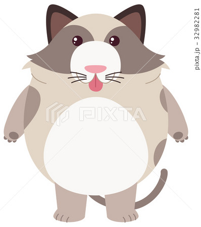 Fat Cat On White Backgroundのイラスト素材
