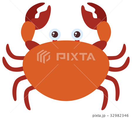 Brown crab on white background 32982346