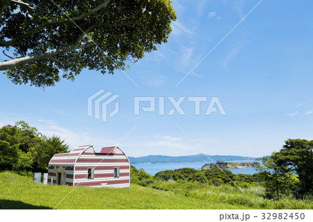 田代島　猫島　ネコ 32982450