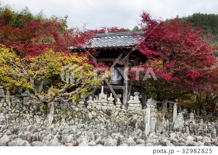 化野念仏寺の紅葉 32982825
