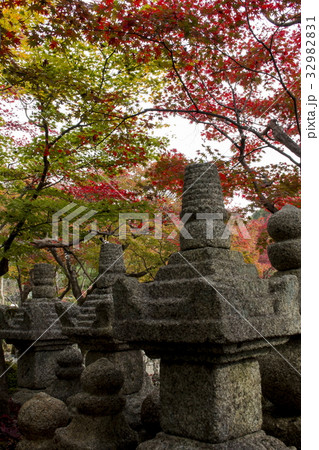 化野念仏寺の紅葉 32982831