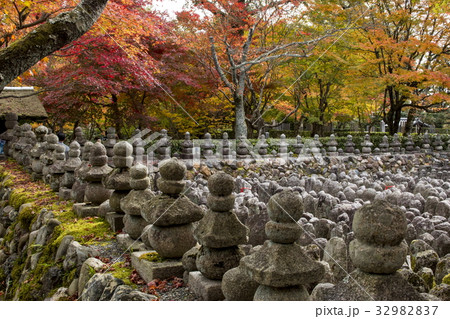 化野念仏寺の紅葉 32982837