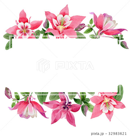 Wildflower aquilegia flower frame in a watercolor 32983621