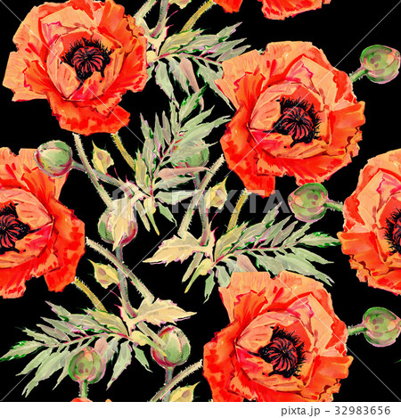 Wildflower poppy flower pattern in a watercolor 32983656