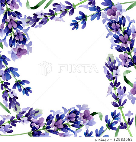 Wildflower lavender flower frame in a watercolor Wildflower lavender flower frame in a watercolor 32983665