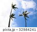 青い空とヤシの木 32984241