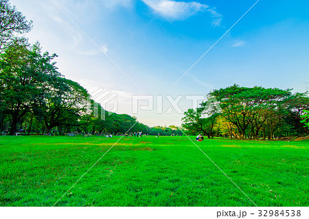 Green park and blue sky Green park and blue sky 32984538