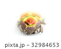 プラチナコガネ 32984653
