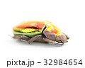プラチナコガネ 32984654
