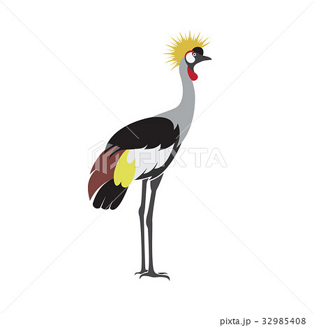 Vector of crowned crane bird design. 32985408