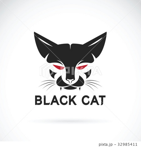 Vector of a cat face on white background. Pet 32985411