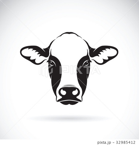 Vector of cow face design on white background.Farm 32985412