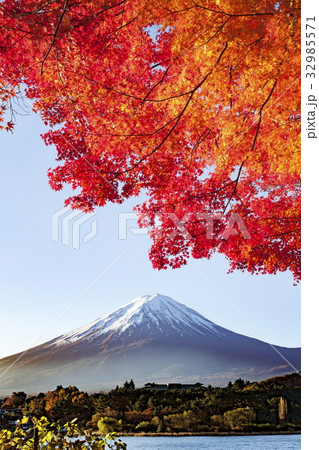 富士山と紅葉、山梨県河口湖にて 富士山と紅葉、山梨県河口湖にて 32985571