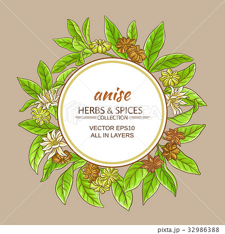 anise vector frame 32986388