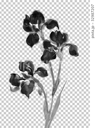 カキツバタ 水墨画のイラスト素材