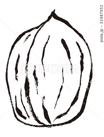 くるみ　水彩画　水墨画 32987952