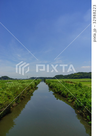 夏の鹿島川の風景 夏の鹿島川の風景 32988223