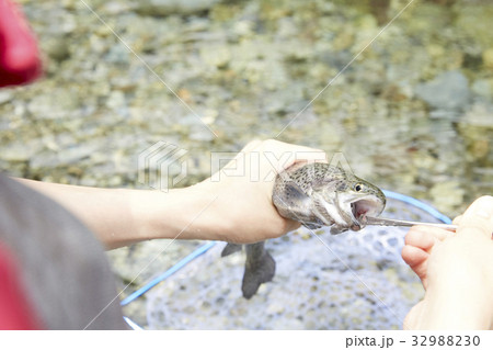 釣りを楽しむ女性 32988230