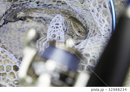 川釣り 川釣り 32988234