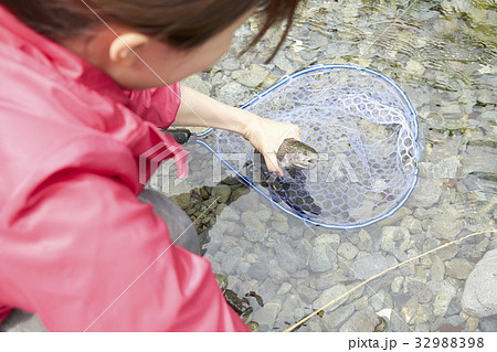 釣りを楽しむ女性 釣りを楽しむ女性 32988398