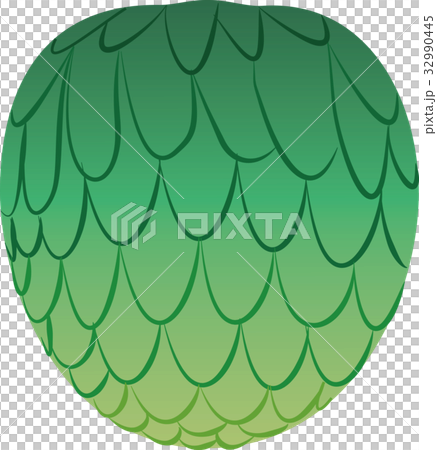 番荔枝 番荔枝 32990445