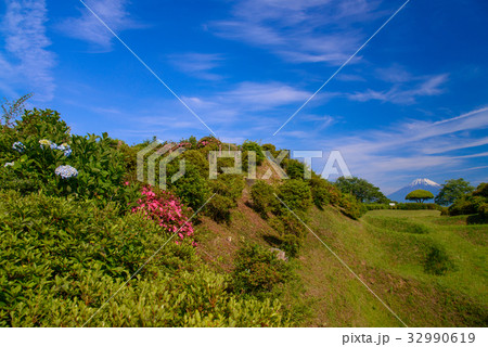 【静岡県】初夏の山中城址公園、後方に富士山 【静岡県】初夏の山中城址公園、後方に富士山 32990619