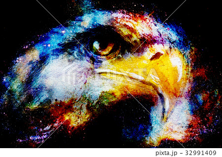 Eagle on abstract color background. Profile 32991409