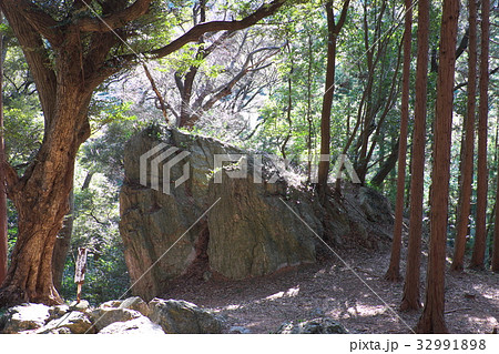 天白磐座遺跡 渭伊神社 天白磐座遺跡 渭伊神社 32991898