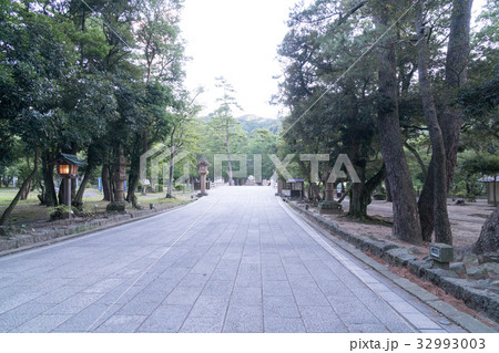 出雲大社の参道 出雲大社の参道 32993003