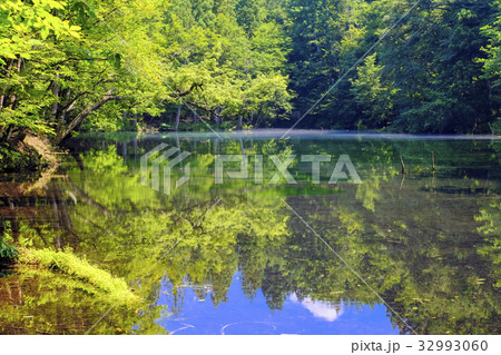 濁らない竜ケ窪 濁らない竜ケ窪 32993060