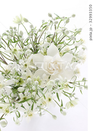 クチナシとクレマチス（ホワイトジュエル）（縦　部分） 32993350