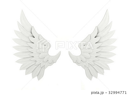 White wing isolated on white background White wing isolated on white background 32994771