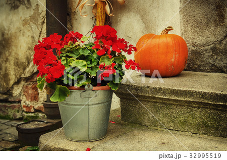 Halloween holiday decoration Halloween holiday decoration 32995519