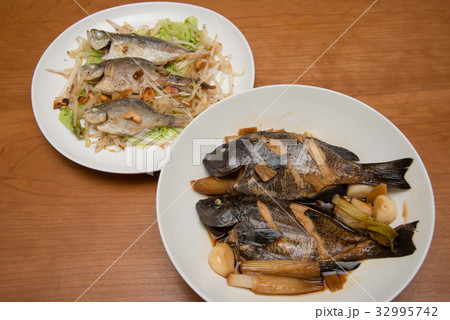釣った魚で調理 32995742