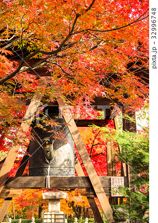 化野念仏寺、梵鐘と紅葉 32996748