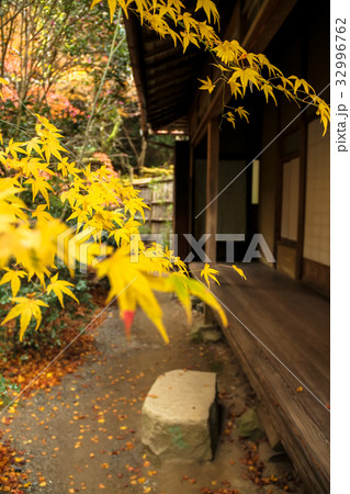 滝口寺、本堂縁側に黄色い楓 滝口寺、本堂縁側に黄色い楓 32996762