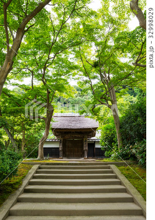 円覚寺 居士林 こじりん 神奈川県鎌倉市 2017年7月現在 32998029