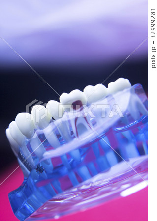 Dentists dental tooth model 32999281