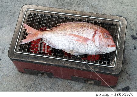 タイの網焼き 33001976