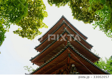 海住山寺・五重塔 33002057