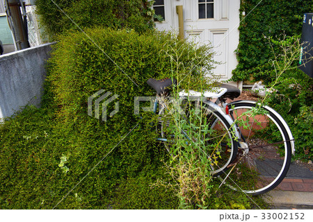 緑は人の遺物を飲み込む 緑は人の遺物を飲み込む 33002152