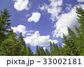 夏　青空と緑 33002181