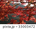 紅葉だよ 33003472