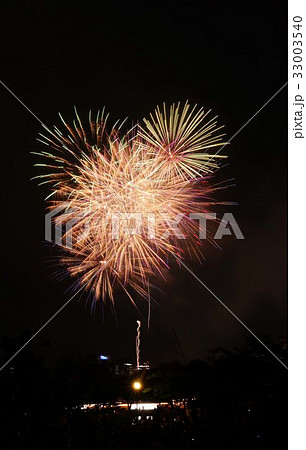 天神祭奉納花火 天神祭奉納花火 33003540