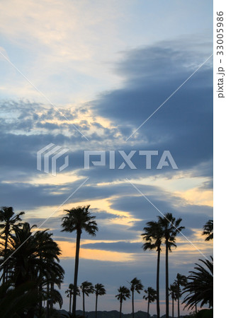 逗子市小坪から夕焼け富士山 33005986