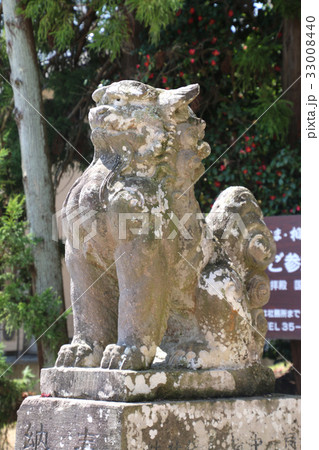 相馬中村神社・狛犬(相馬市) 相馬中村神社・狛犬(相馬市) 33008440
