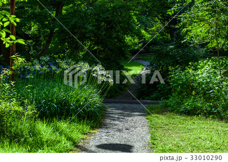 夏　公園イメージ 33010290