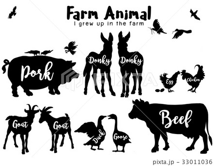 Farm Animals Silhouettes Isolated  33011036